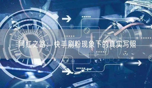 网红之路：快手刷粉现象下的真实写照