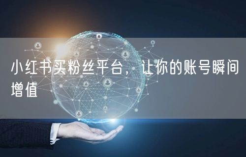 小红书买粉丝平台，让你的账号瞬间增值