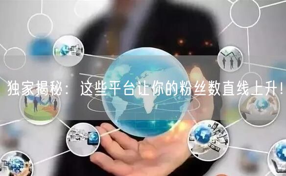 独家揭秘：这些平台让你的粉丝数直线上升！