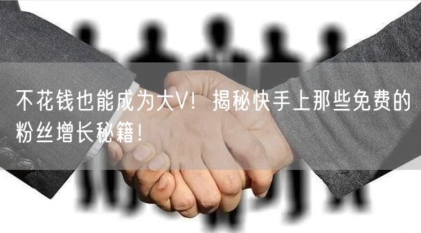 不花钱也能成为大V！揭秘快手上那些免费的粉丝增长秘籍！