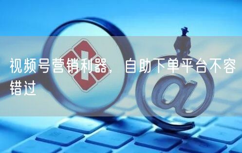 视频号营销利器，自助下单平台不容错过