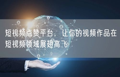 短视频点赞平台，让你的视频作品在短视频领域展翅高飞