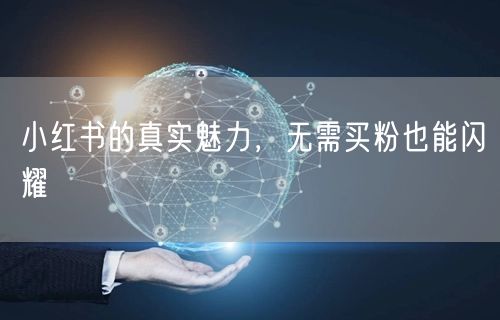 小红书的真实魅力，无需买粉也能闪耀
